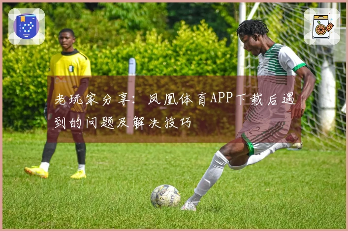 老玩家分享：凤凰体育APP下载后遇到的问题及解决技巧