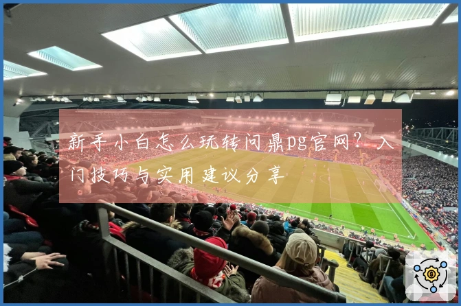 新手小白怎么玩转问鼎pg官网？入门技巧与实用建议分享